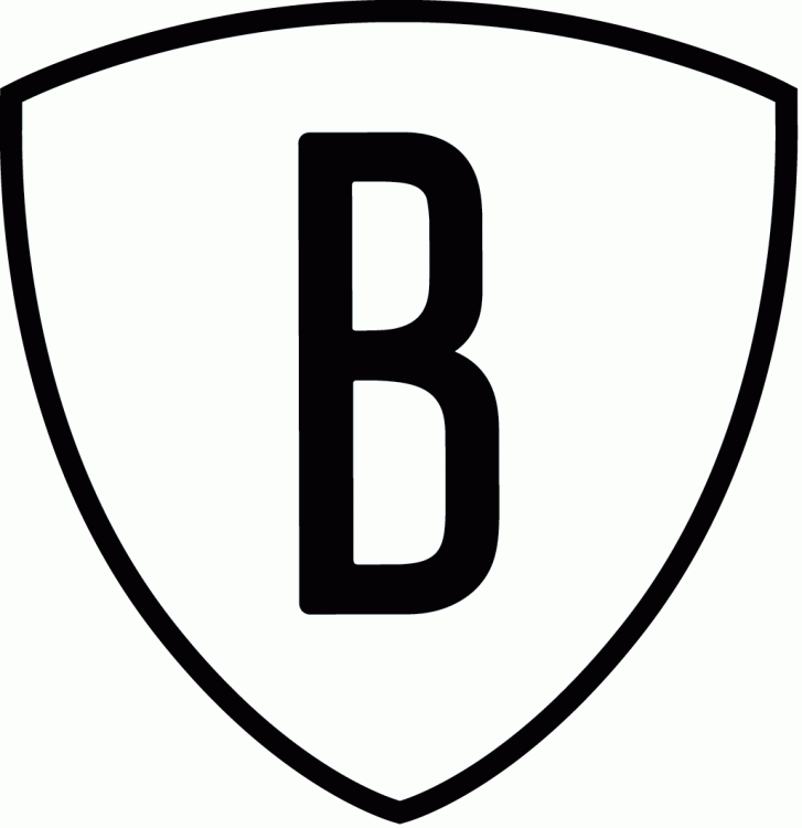 Brooklyn Nets 2012 13-2013 14 Alternate Logo 1 cricut iron on